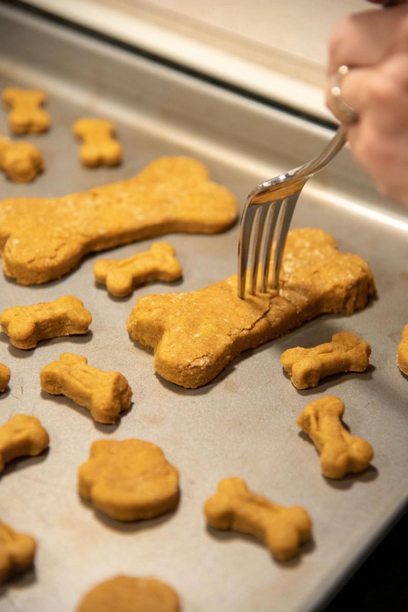 Mommy and Me: Pumpkin Dog Treats